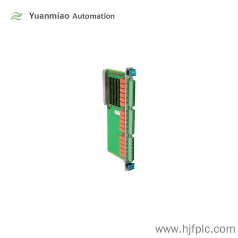 Vibro-meter VM600-RPS6U Industrial Control Module